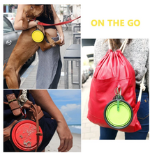 Load image into Gallery viewer, Collapsible Travel Pet Water/ Food Bowl
