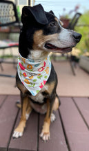 Load image into Gallery viewer, Dog/cat bandana, colorful, cotton and adjustable
